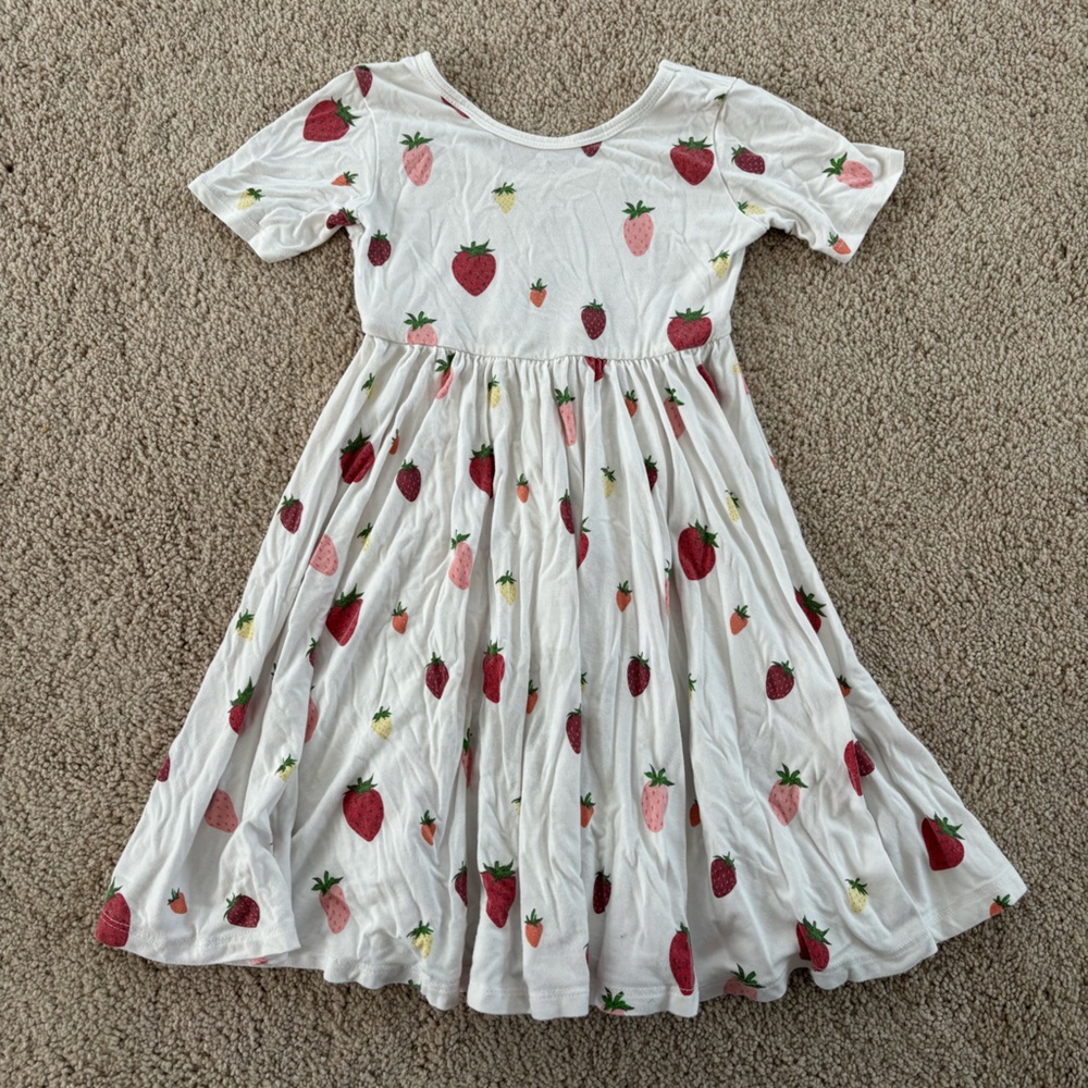 Strawberry Kyte Baby dress 3T